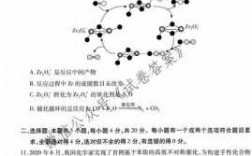 武汉市高考化学真题（2021武汉市高三起点考试化学）