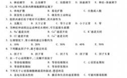 西医综合真题历年（西医综合真题pdf2000到2020）
