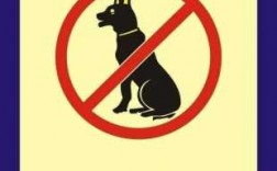 禁止学生饲养宠物真题（禁止学生饲养宠物的问题上）