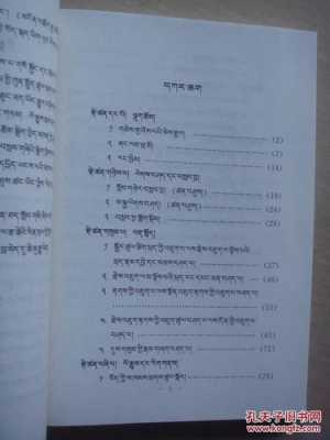 拉萨藏语家教（拉萨语言学校学藏语）-图2