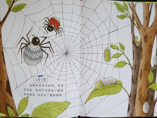 蜘蛛的家教案（蜘蛛的家绘本）-图2