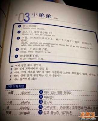 给中文很好的韩国人做家教（在韩国教中文需要什么条件）-图1