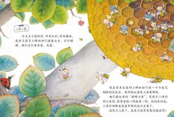 幼儿园蜜蜂的家教案（蜜蜂的家绘本）