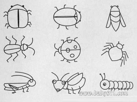 虫子的家教案（虫子的家简笔画）-图3